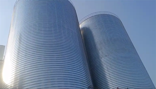 毛感乡2座混凝土高架卷板仓